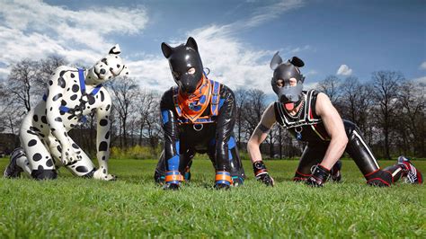 What is pet play