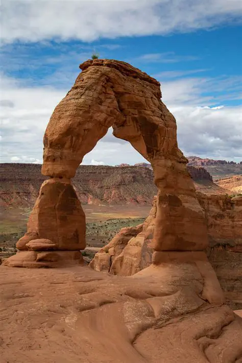 What is an arch pic